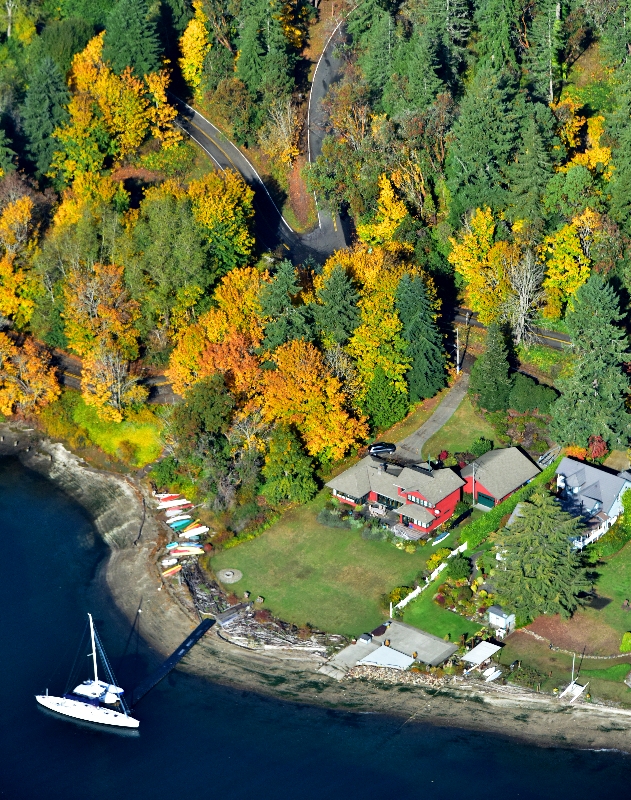Fall colors on Bainbridge Island Washington 205 