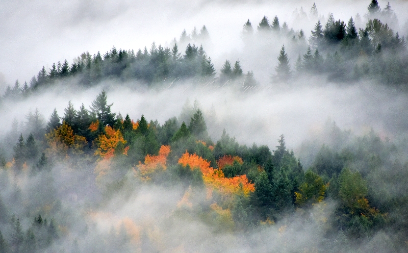 Splash of Colors 247 