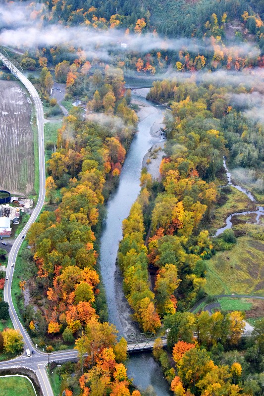 Tolt River with fall foliage by Carnation Washington 203  