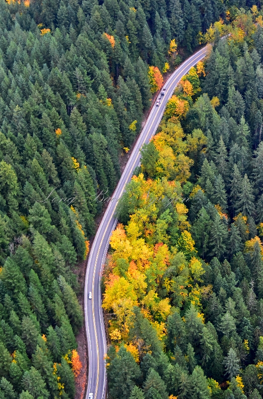SE Fall City Snoqualmie Rd Hwy 202 Fall City Washington 447 