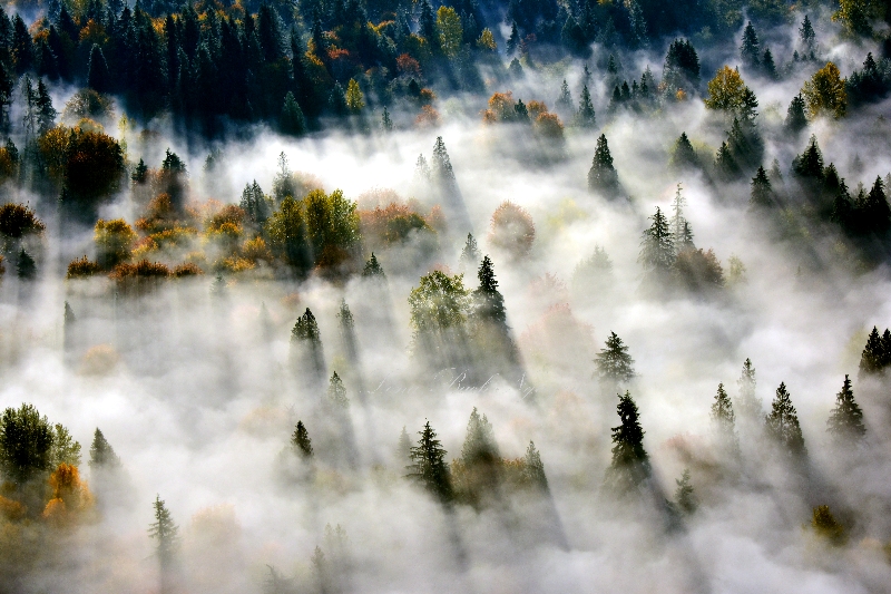 Autumn along Snqoualmie River Valley 538 