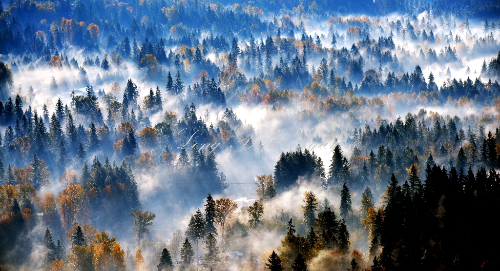 Autumn over Pacific Northwest 362a 