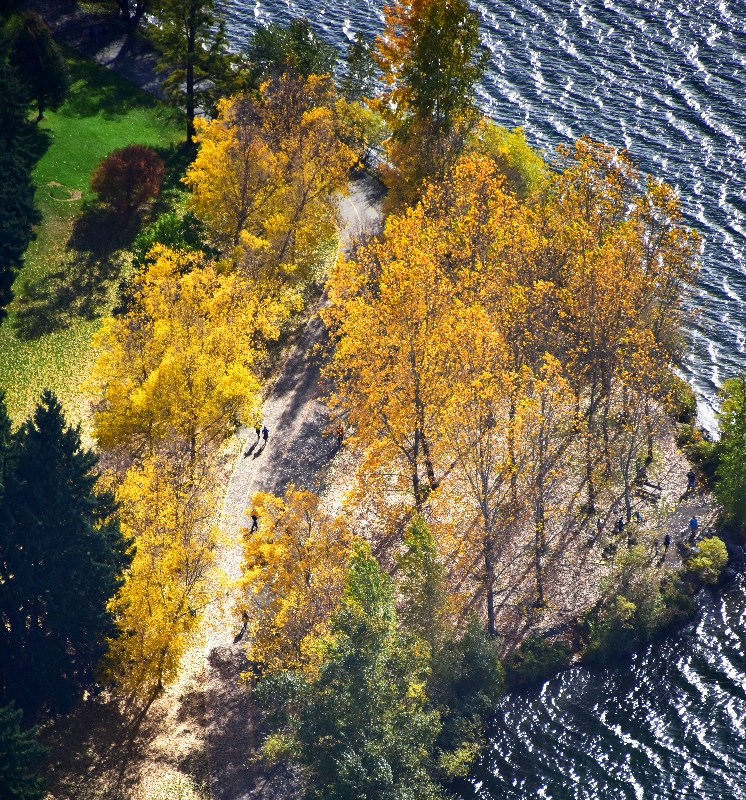 Green Lake Trail in the fall Seattle 363  