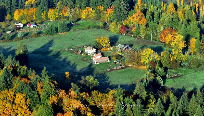 Autumn colors and foliage on small farm 308  