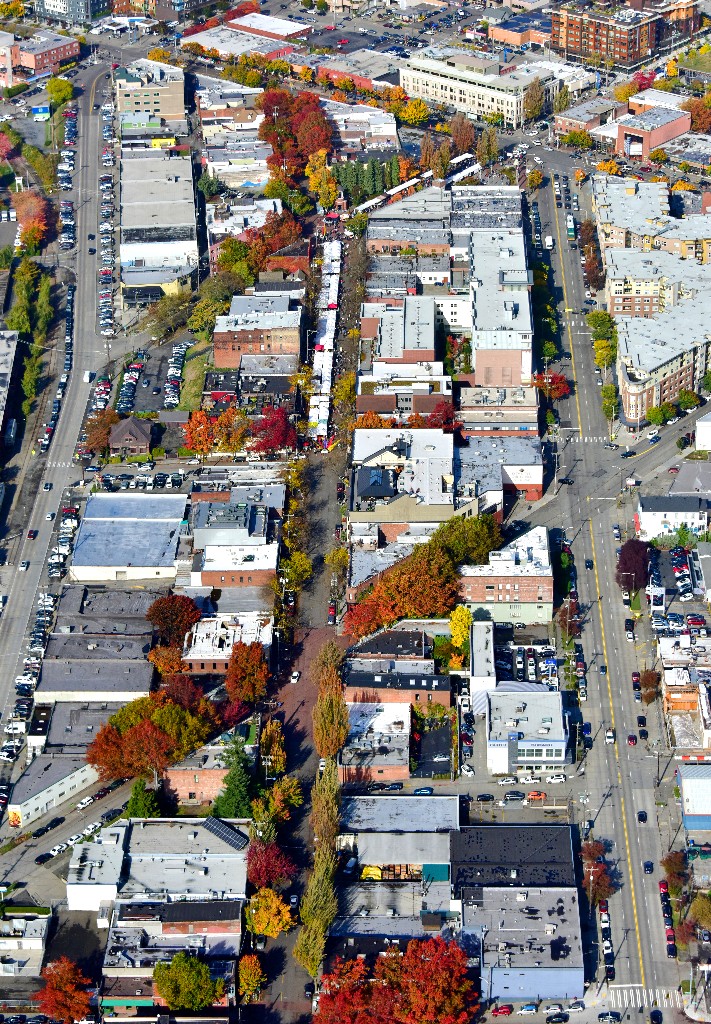 Fall foliage in Ballard neighborhood of Seattle 312  