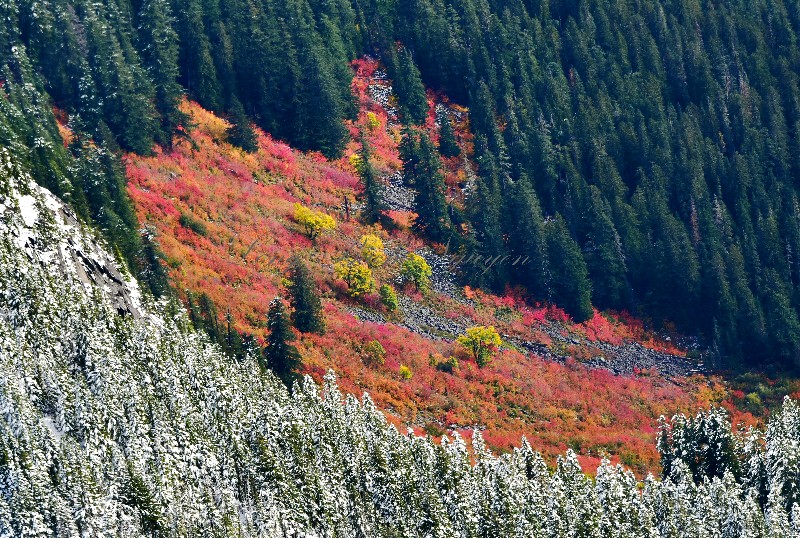 Fall in Cascade Mountains Washington 933  