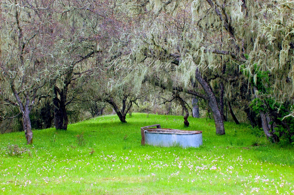 Old Rusted Tub along East Carmel Valley Road Carmel Valley California 050 