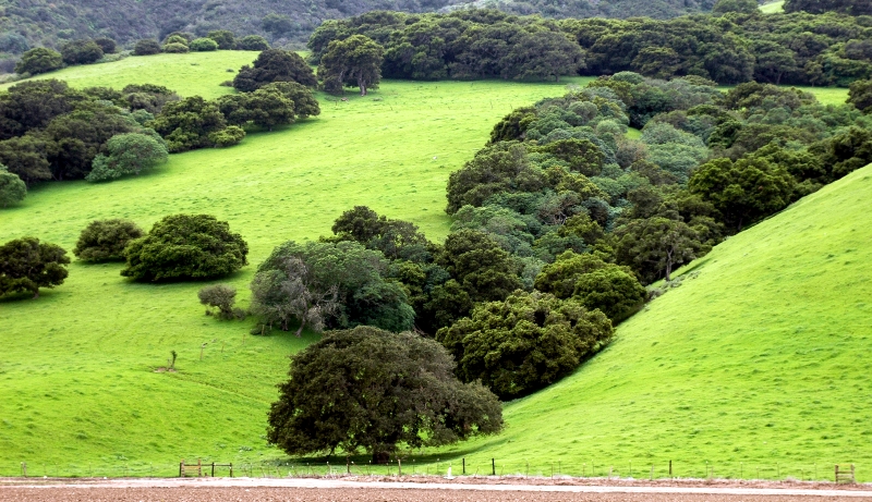 Scenic landscape along Carmel Valley road 065  