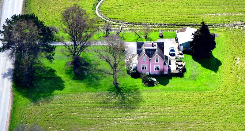 Pink House along the Tulip Route in Mt Vernon Skagit Valley Washington 341 