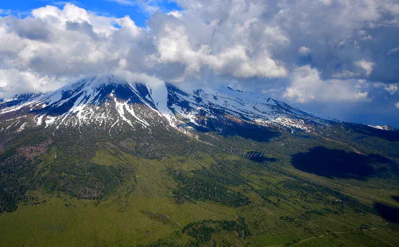 Mt Shasta in springtime, Weed, California 020
