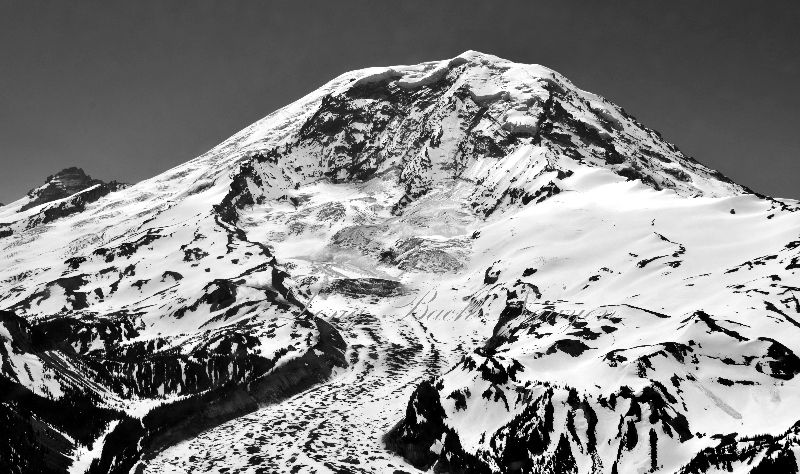 Mt Rainier National Park,  Carbon Glacier, Liberty Cap, Curtis Ridge, Wallis Wall, Little Tahoma Peak, Washington 045