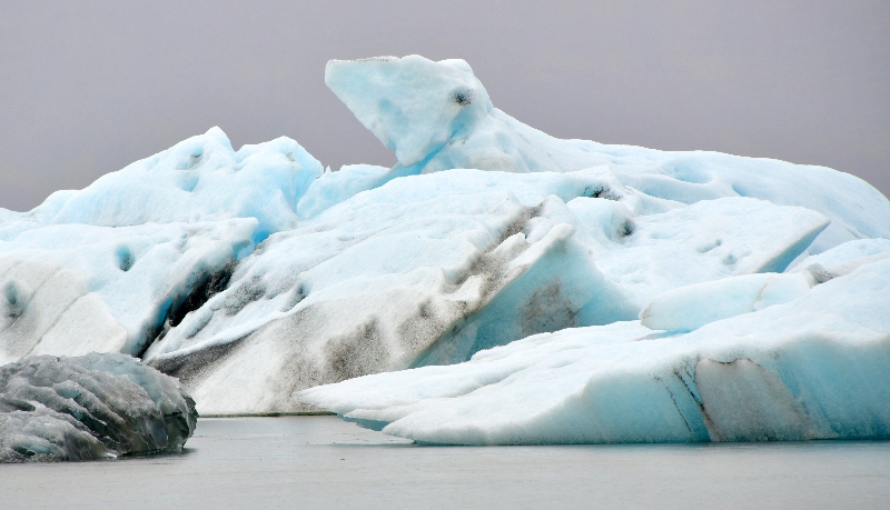 Polar Bear Iceberg in Jkulsrln glacial lagoon, Iceland 1005 