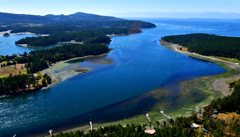Henry Island, Mosquito Pass, White Point, Yacht Haven, San Juan Islands, Washington 246 