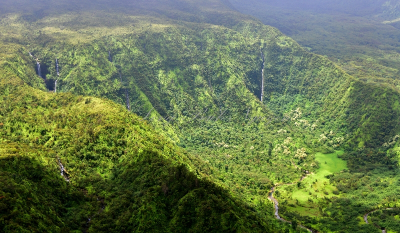 KeAnae Valley, Palauhulu Stream, Kano Stream, Hauoliwahine Gulch,  Waiokamilo Stream,  Hawaii 441 
