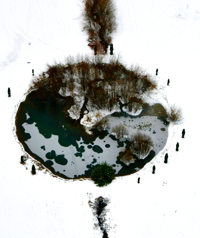 Ying and Yang Pond, Arlington Washington State 164