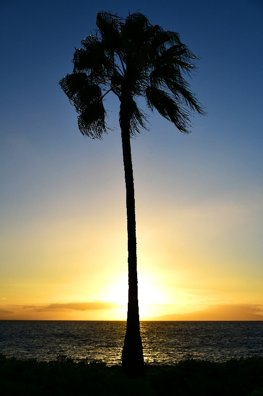 Sunset on Maui, Hawaii 218