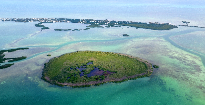 Shell Key, Shell Key Channel, Race Channel, Little Basin, Islamorada, Florida Keys, Florida 816 
