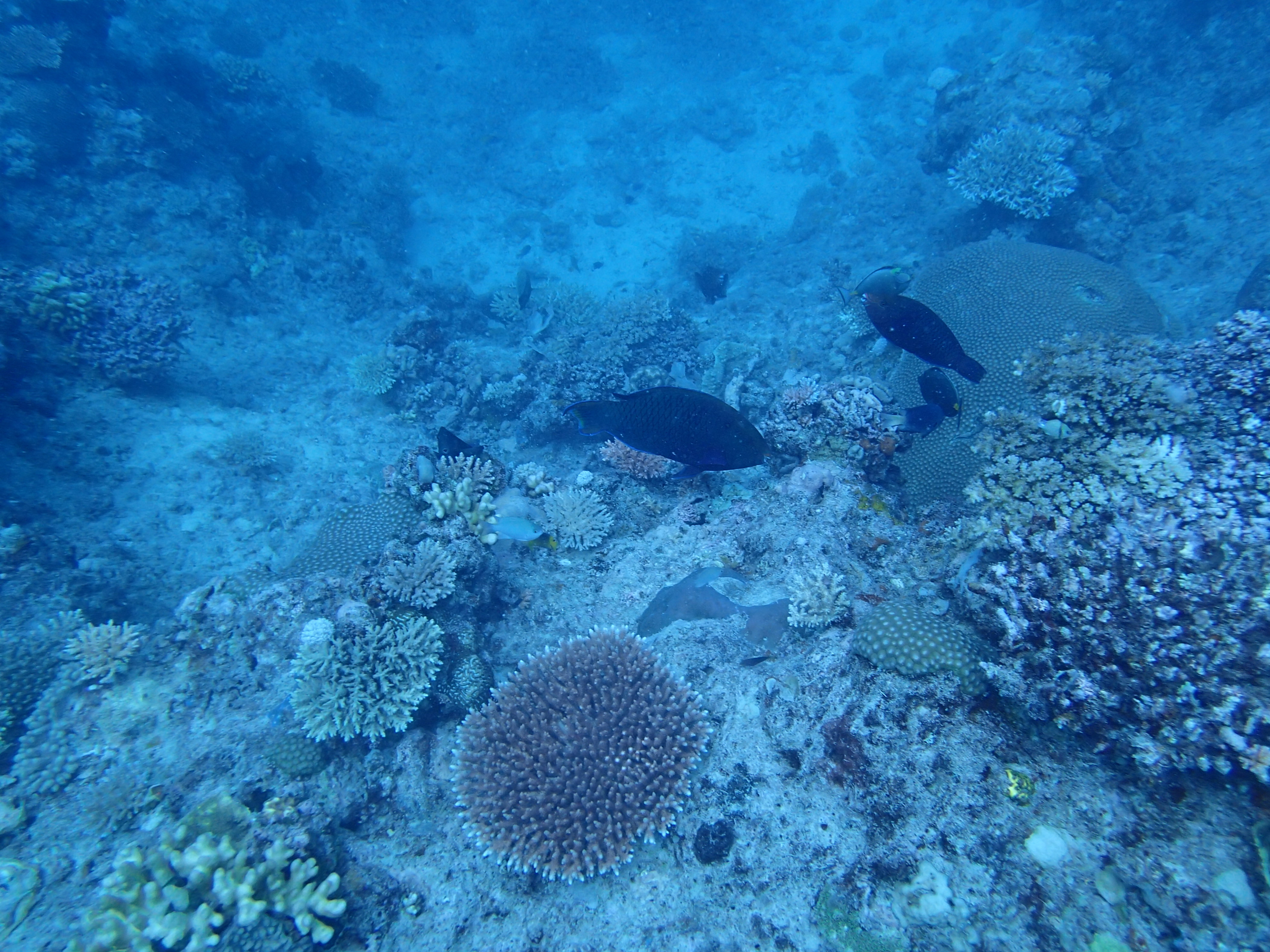 P9166380.JPG