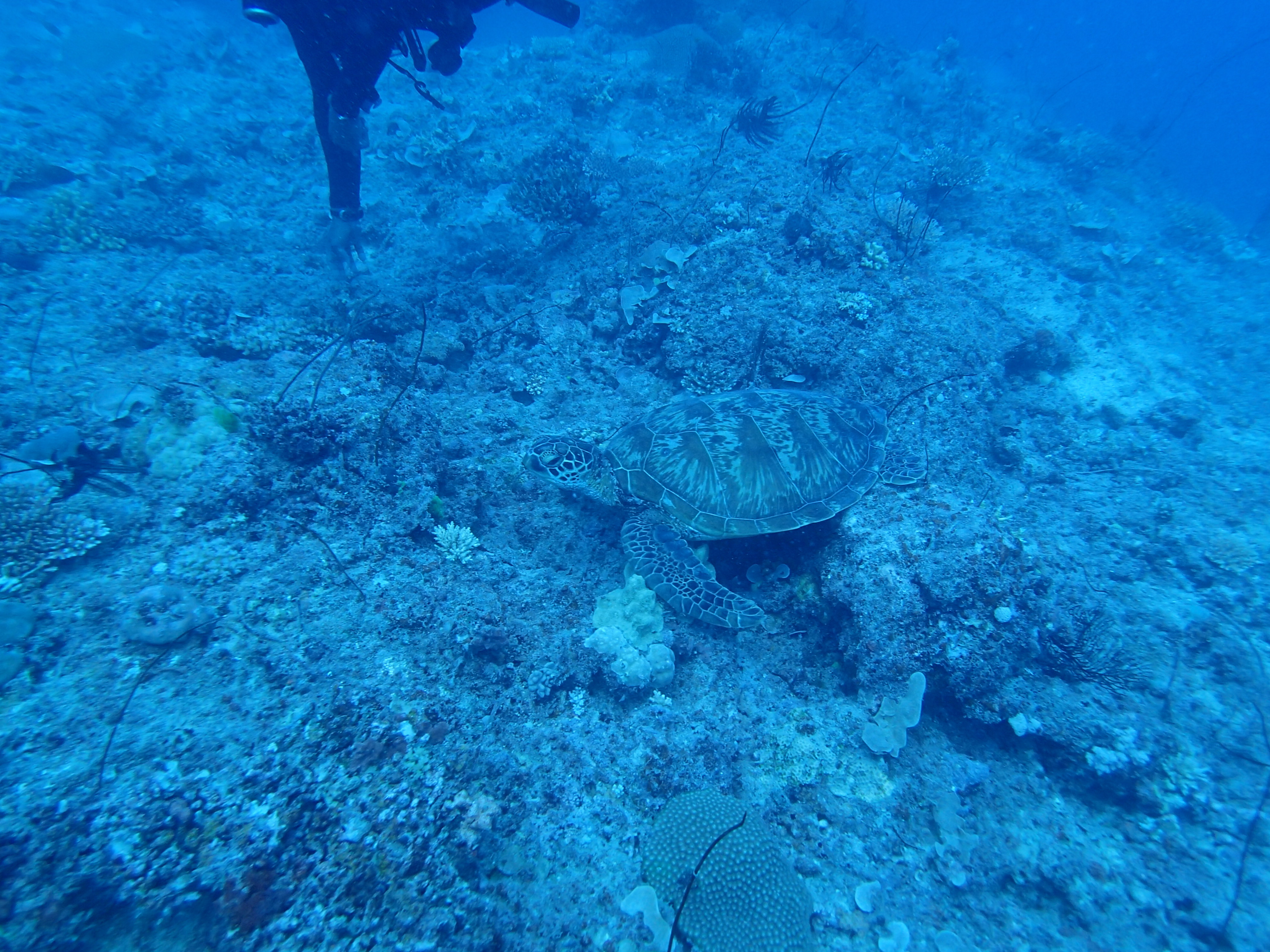 P9166393.JPG