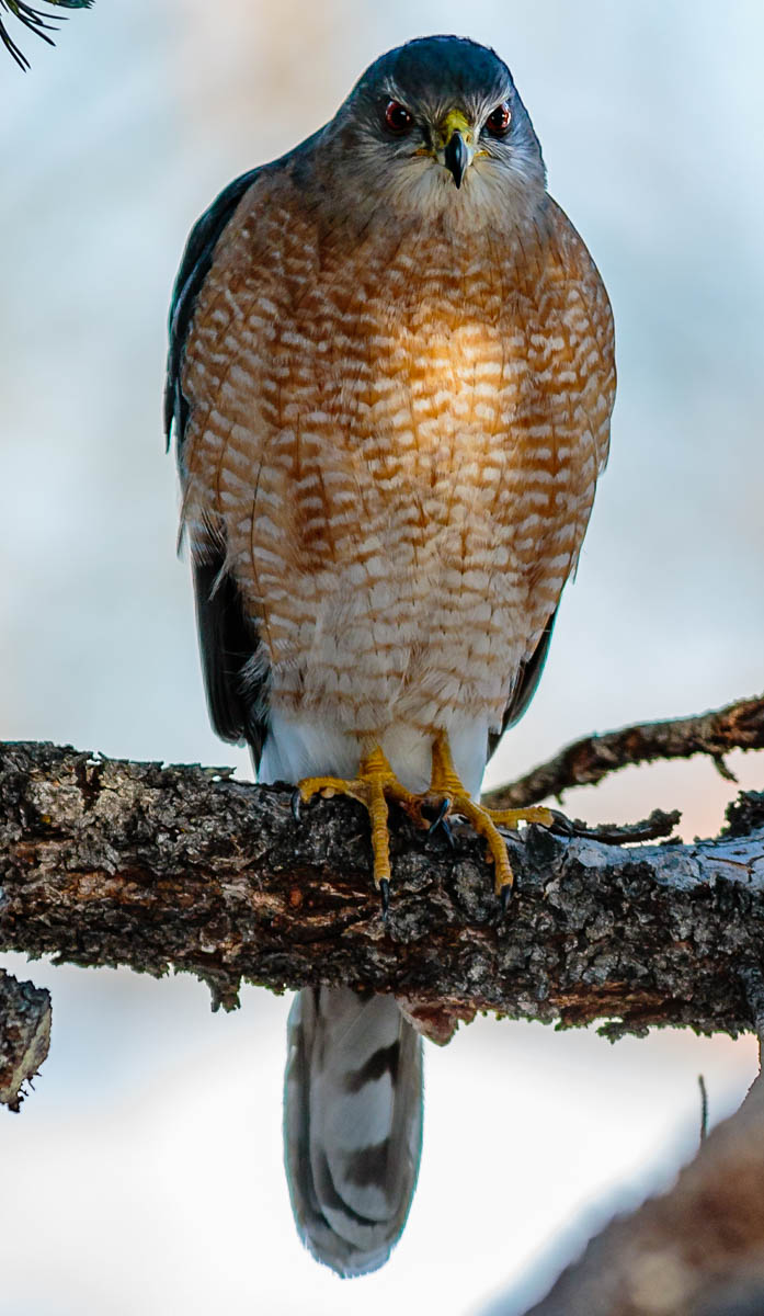 You Looking at Me?