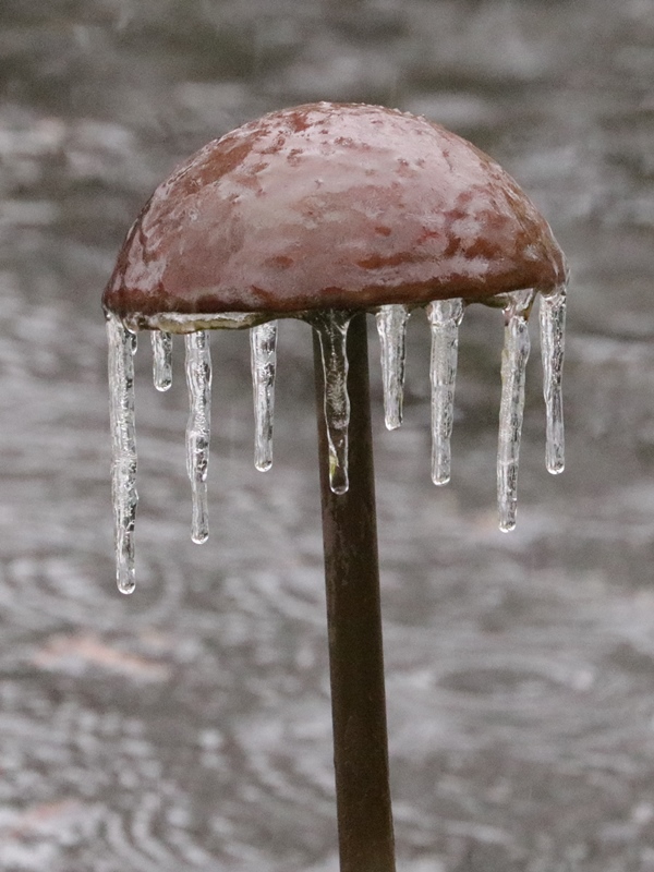 Ice Storm I