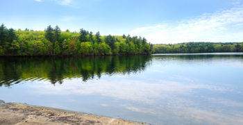 telepsych-services-newton-wellesley.jpg