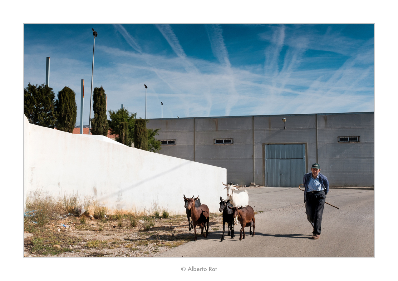 21/03/2017  Julio i les seves cabres