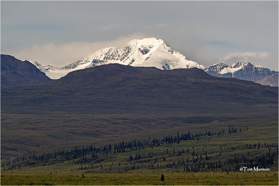  Denali Highway 