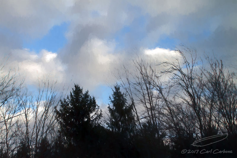 02/27/2017 - _MG_3478.jpg
