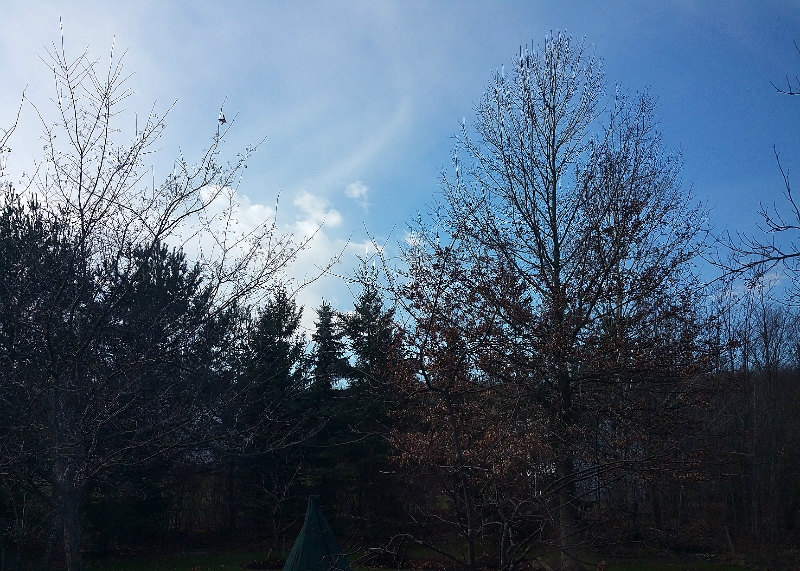03/08/17 - Note4