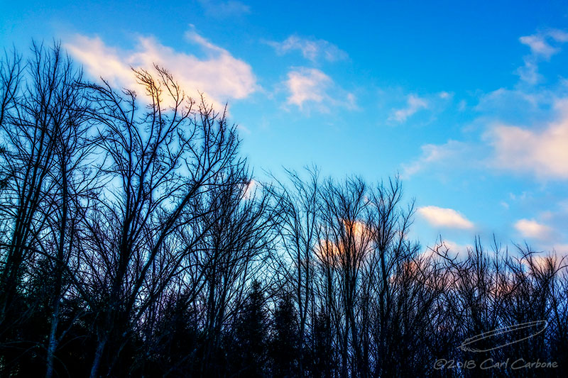 02/02/2018 - LRM_074714.jpg