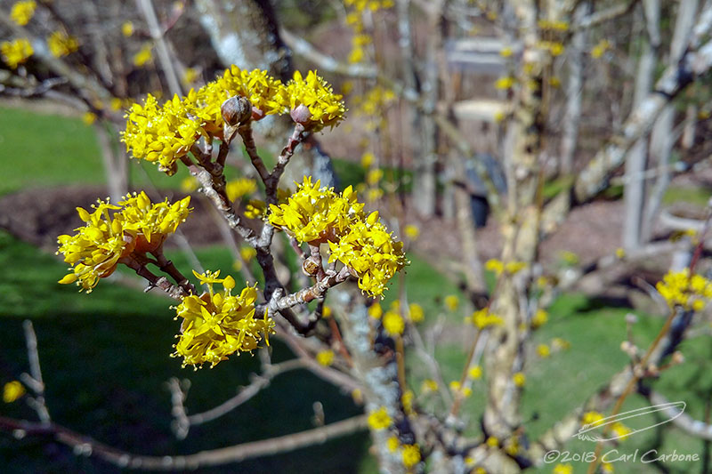 04/26/2018 - LRM-001.jpg