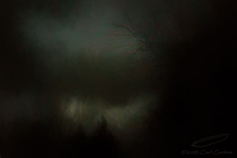 11/07/2018 - LRM-173039.jpg