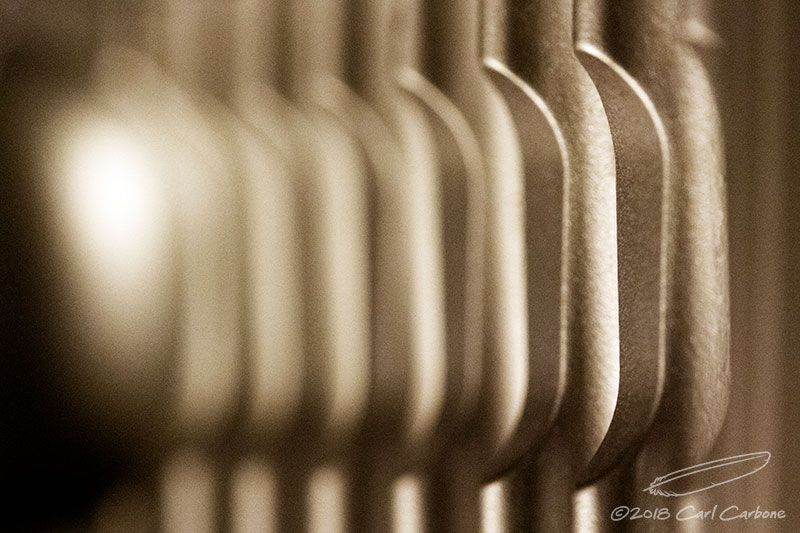 11/23/2018 - _MG_0307.jpg