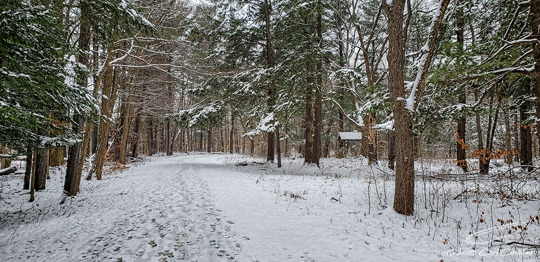 12/26/2018 - LRM-131547.jpg