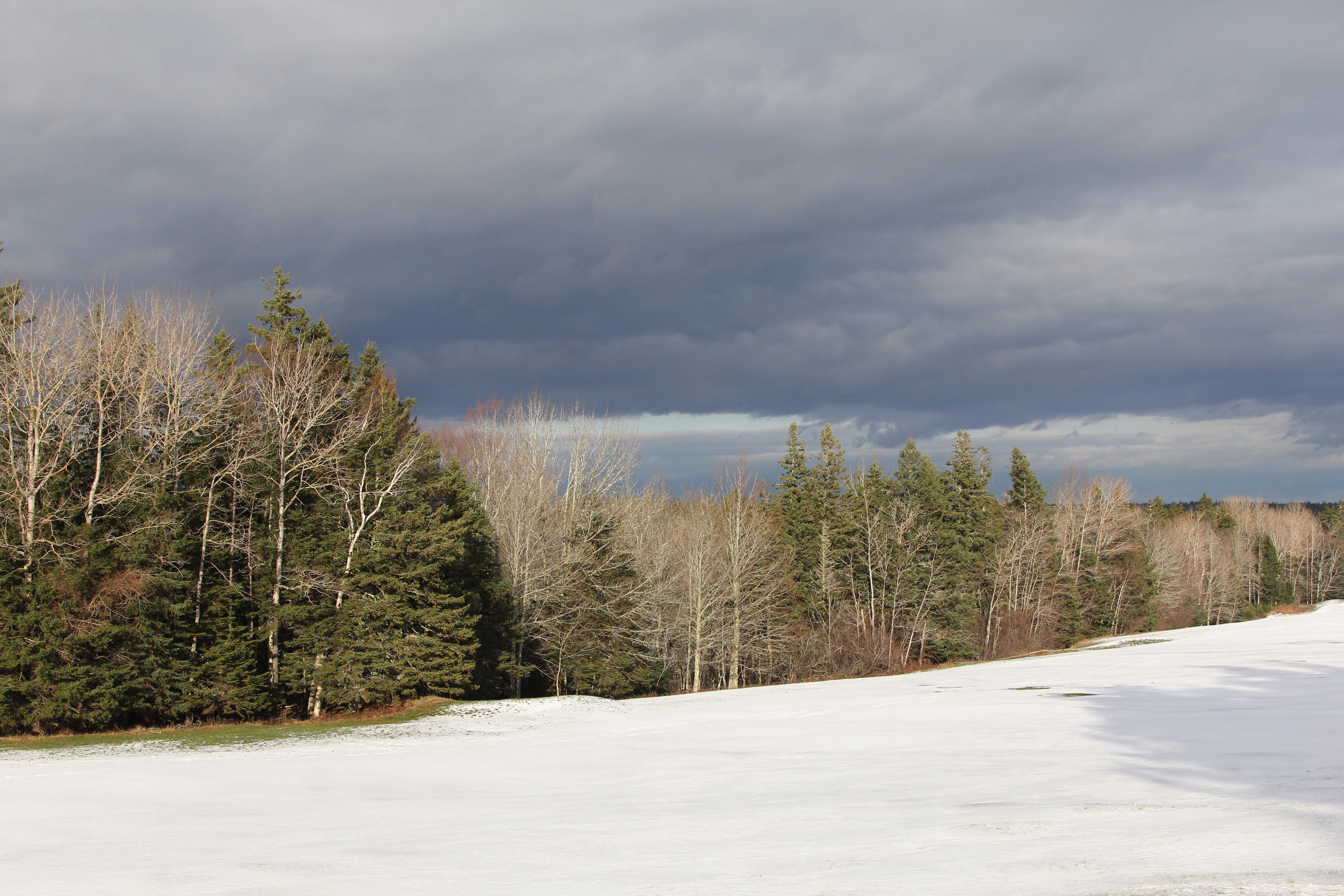 November light with snow