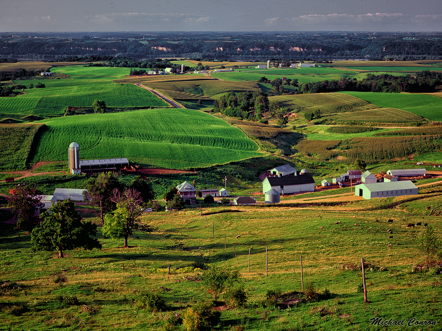 Iowa Farmland Vista