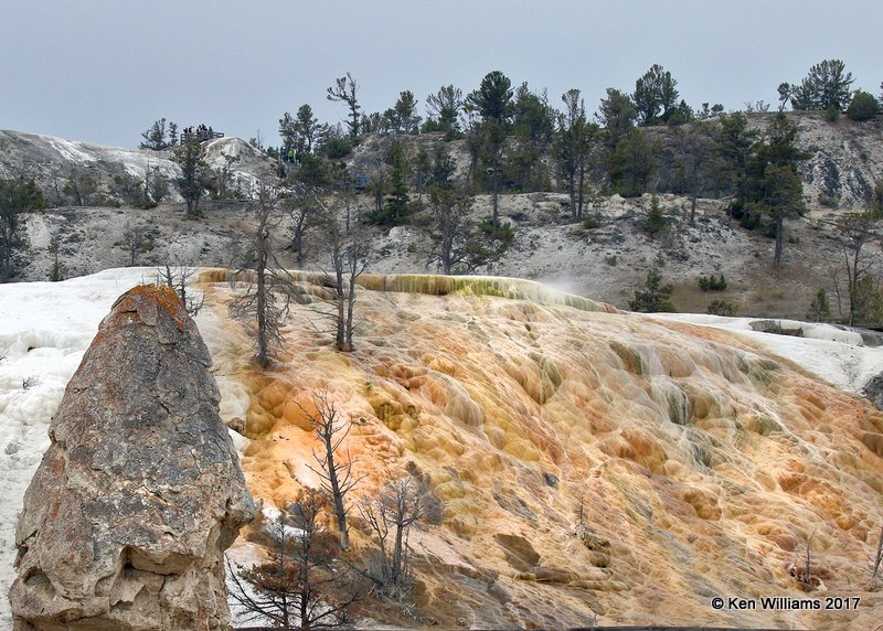 Mammoth Hot Springs, Yellowstone NP, WY, 9-18-17, Jda_50882.jpg