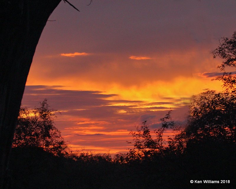 Sunset, Patagonia, AZ, 8-25-18, Jpa_85557.jpg