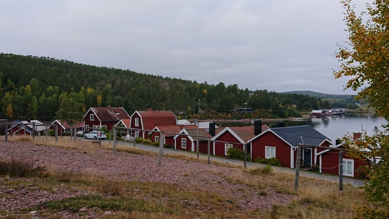 DSC_1324.JPG
