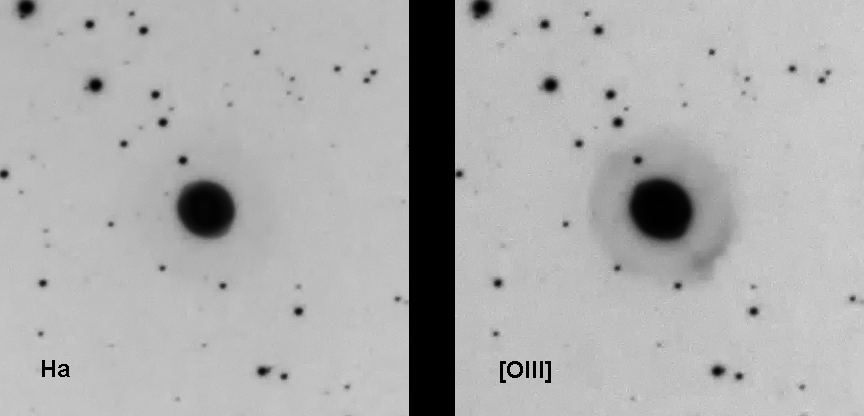 NGC 2022 Inverted