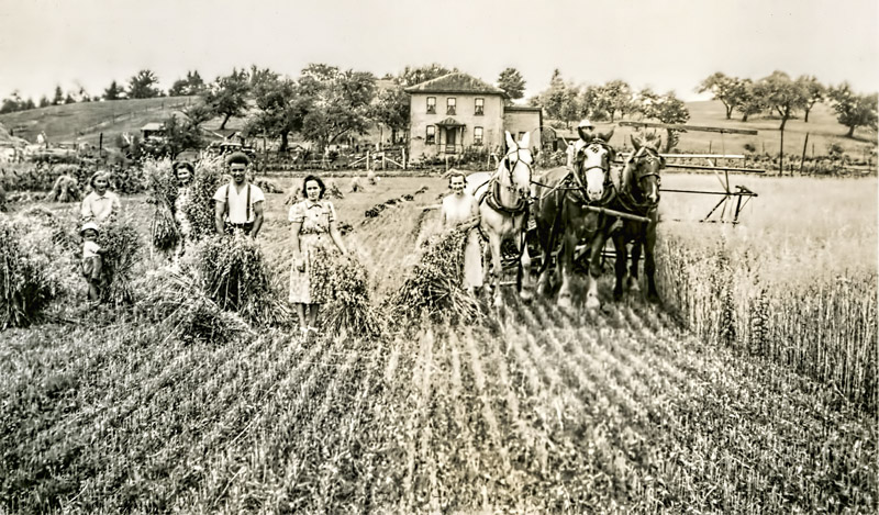 Harvest Time