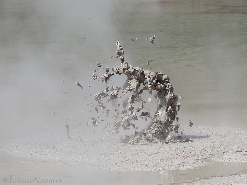 Kokende modder - Boiling Mud 