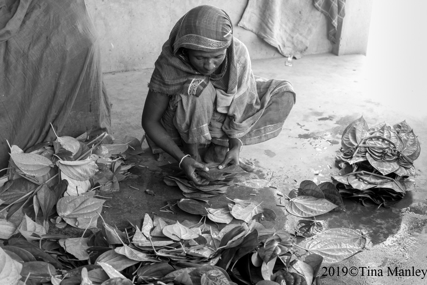 Sorting Betel Leaves
