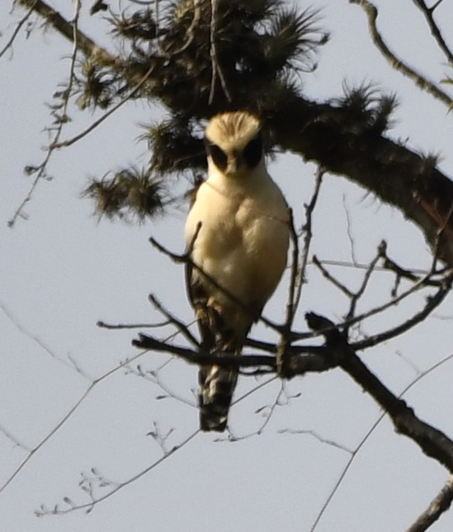 DSC_7843b.jpg
