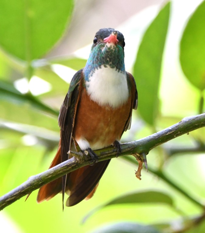 DSC_8160b.jpg