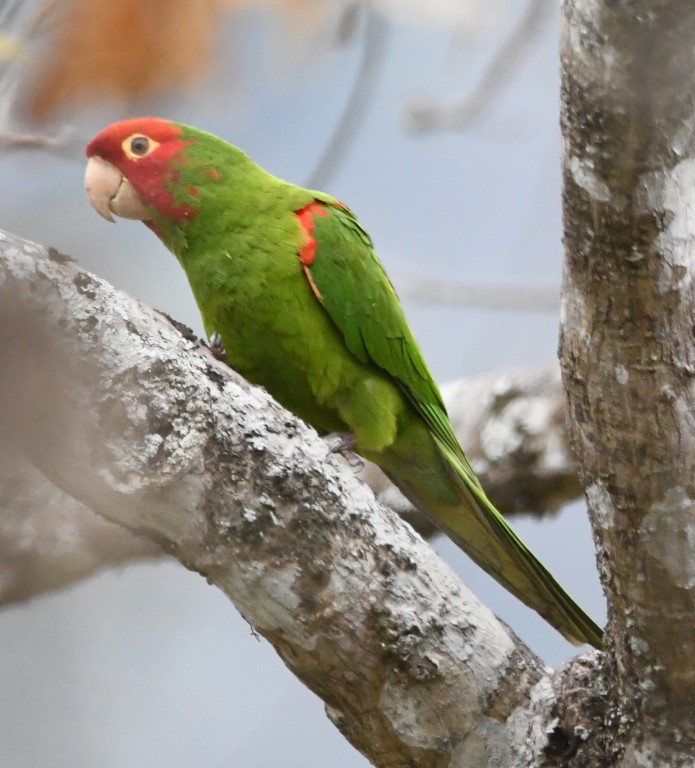 DSC_8289b.jpg