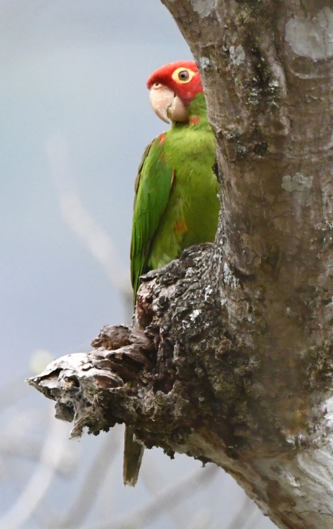 DSC_8291b.jpg