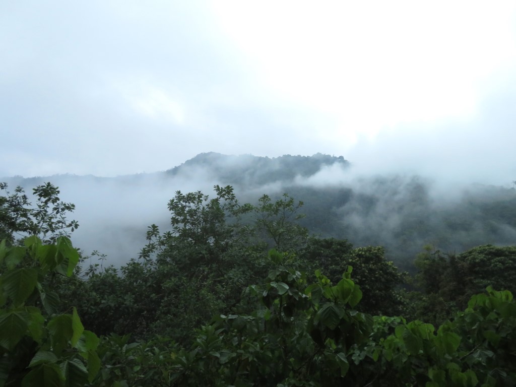 IMG_3110b.jpg