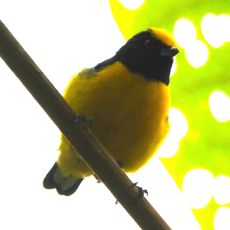DSC_9491b.jpg